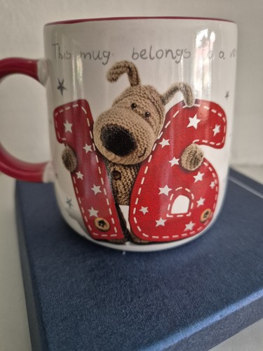 Boofle special birthday - special, 16