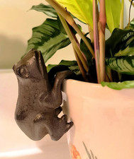 Cast Iron Frog Plant Pot
