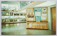 The Weather Station Scouting