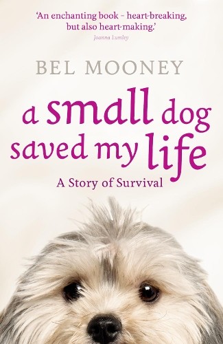 Small dog saved - a, my