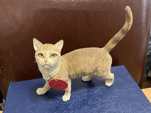 Country artists tabby cat - artists,