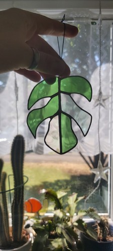 Monstera leaf stained - leaf, glass