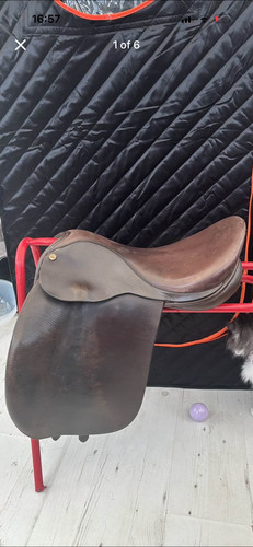 Ideal havana inch saddle - ideal,