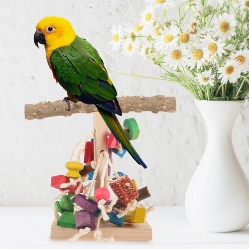 Large parrot perch cockatiel - perch,