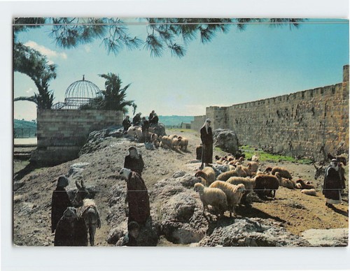 Postcard cattle market the - cattle,