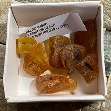 AMBER ROUGH UNTREATED x 7  -