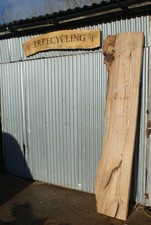 Large Elm Slab Kiln Dried 2575