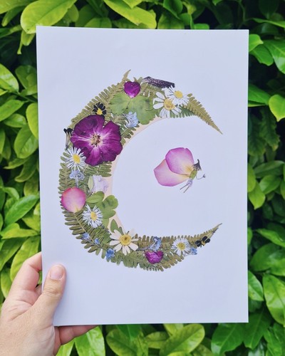 Celestial moon fairy - fairy, pressed