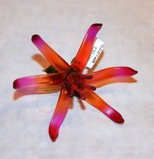 Blown glass spider - glass, flower