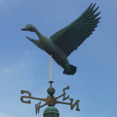 Large copper flying duck - large,
