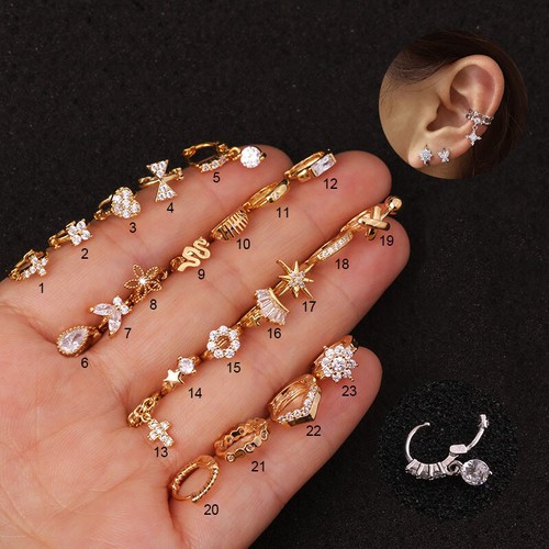 Tiny helix cartilage tragus - tiny,