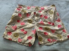 Men's Swim Shorts XXL Grey/ Fruit Vilebrequin Swim Trunks