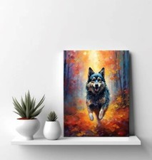 Norwegian Elkhound Dog Animal