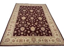 Brand New Exclusive Ziegler