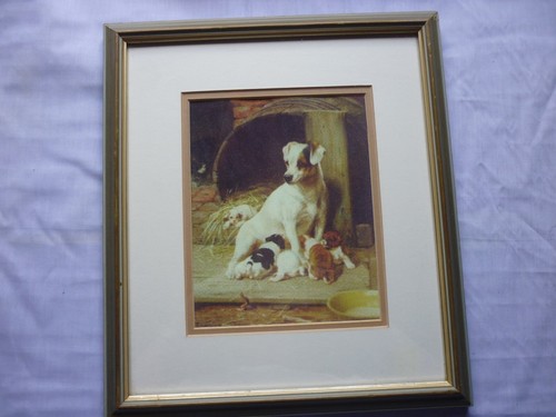 Jack russell terrier mum and - russell,