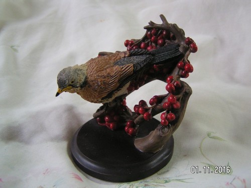 The country bird collection - bird,