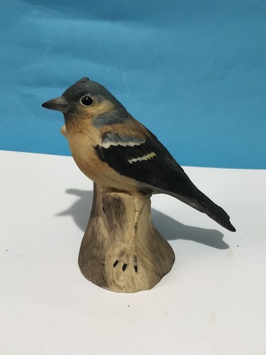 Rare chaffinch wedgwood - chaffinch,