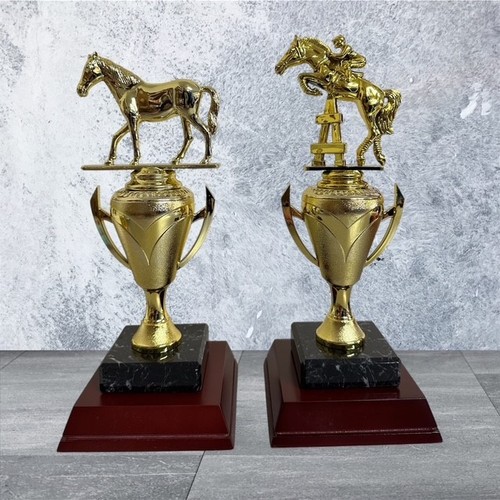 Equestrian gold cup trophy - equestrian,