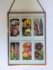 Vintage flower cigarette cards