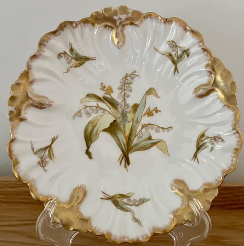 Bawo dotter elite limoges 8 - bawo,