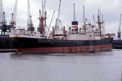 Sq0048 harrison cargo - -,