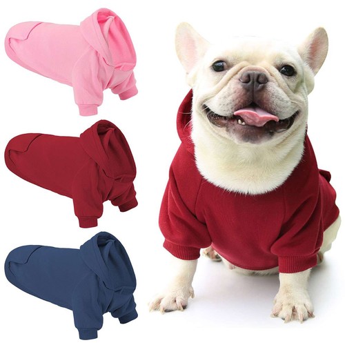 Winter dog hoodie jacket - dog,
