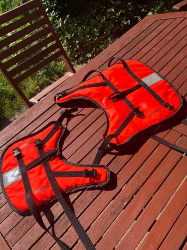 Dog life jacket pet - dog, buoyancy