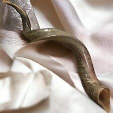 Yemenite Kudu Horn Jewish