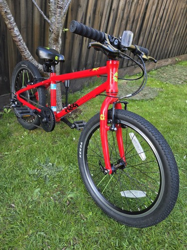 Frog lightweight - 55,