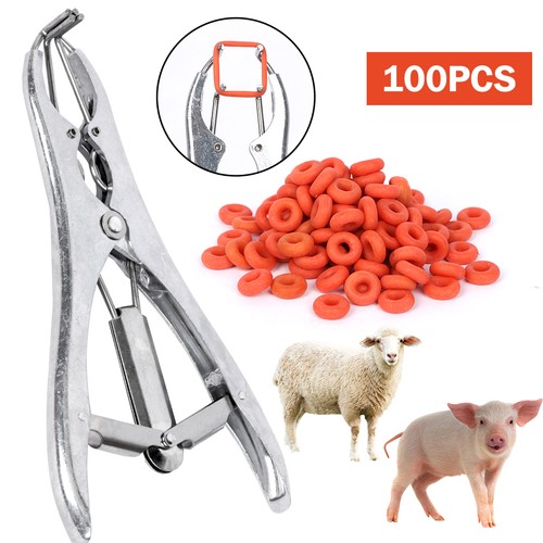 Lamb castrating ring pliers - lamb,