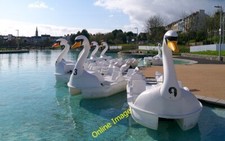 Photo 6x4 The 'Pickie Swans'