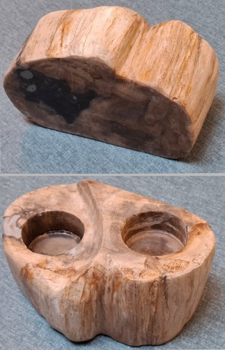 Fossilised fossilized fossil
