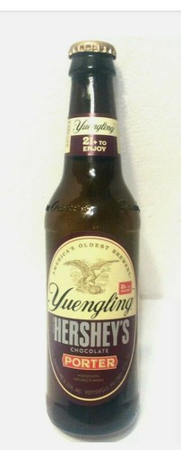 Yuengling empty beer - empty, bottle