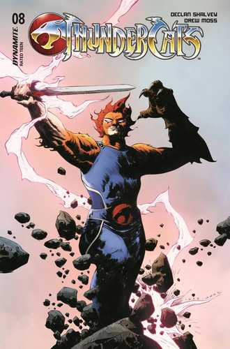 Thundercats cover lee - #8, d