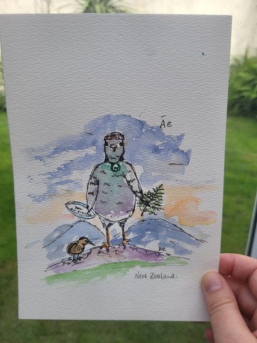New zealand pigeon fun - zealand,