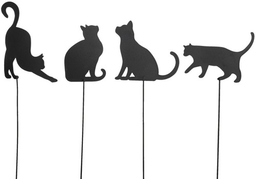 Set black cat - set,