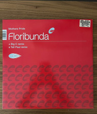 Mother’s Pride - Floribunda