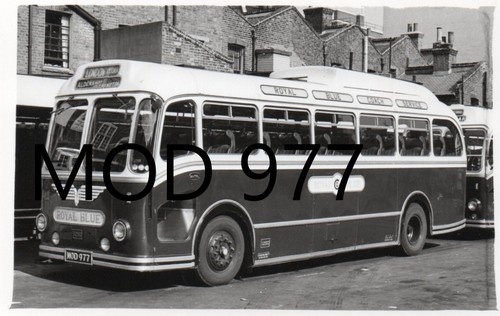 Royal blue mod 977 bristol - 977,