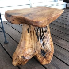 Cedar Root Mushroom Stool –