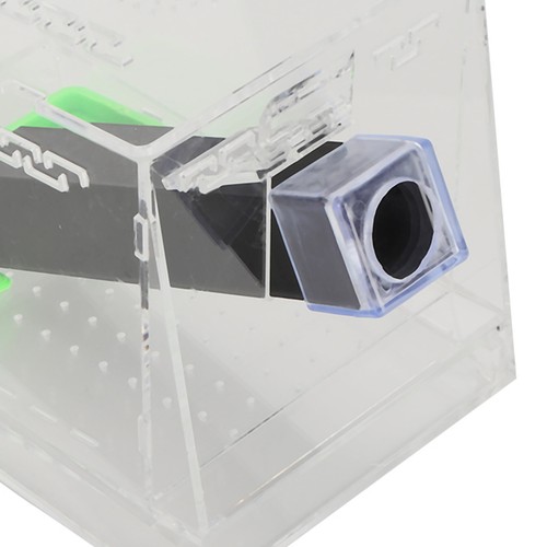 Acrylic cricket keeper - cricket,