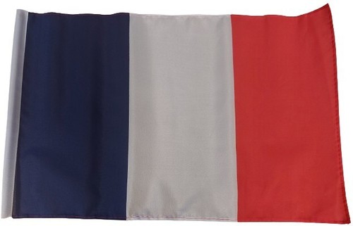 France flag x12 treehouse - flag, 18"x12"