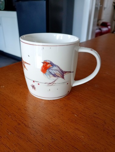 Lesser pavey robin - &,