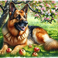 Diamond painting german - painting,