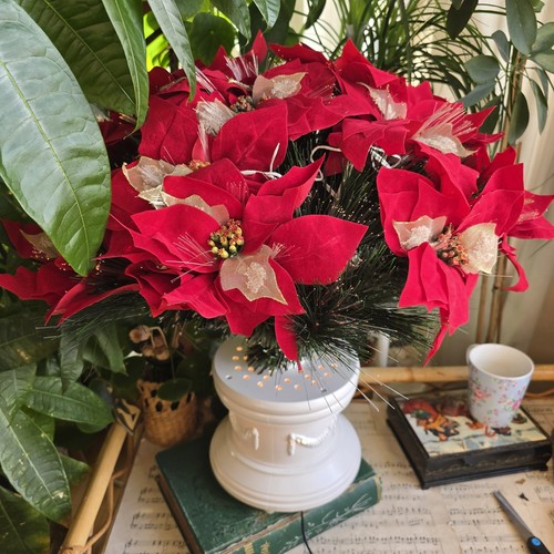 Vintage fiber optic - fiber, poinsettia