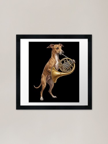 Italian greyhound playing - greyhound,