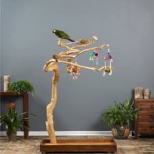 Prevue Pet Products Coffeawood