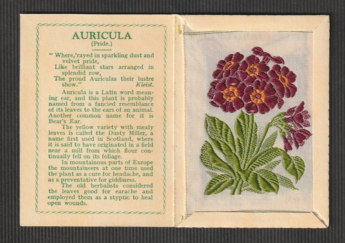 Kensitas wix silk flower - wix, &