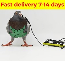Pigeon flight harness - pigeon,