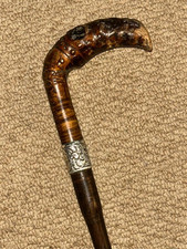 Victorian Walking Stick Root