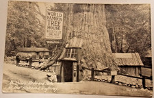 RPPC Real Photo Postcard